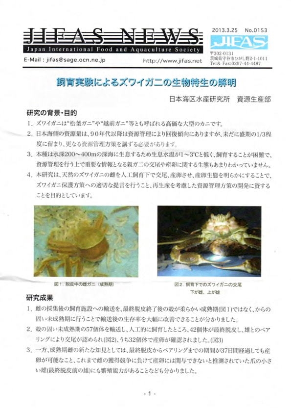 JIFASNEWS第153号表紙