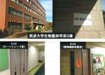 筑波大学バナメイプロジェクト（白エビ）8月開始
