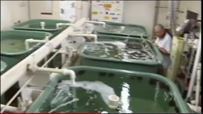 閉鎖循環式陸上養殖を前提としたテスト用タンク