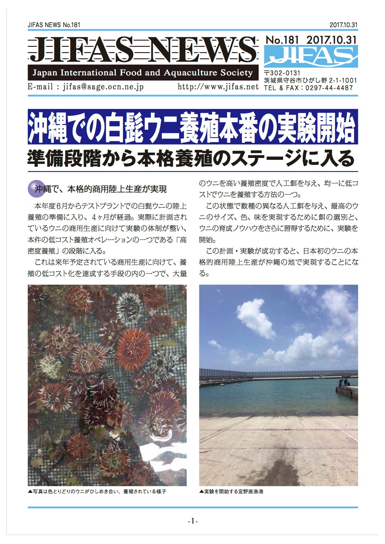 JIFASNEWS第181号表紙