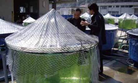 谷口事務局長視察の様子