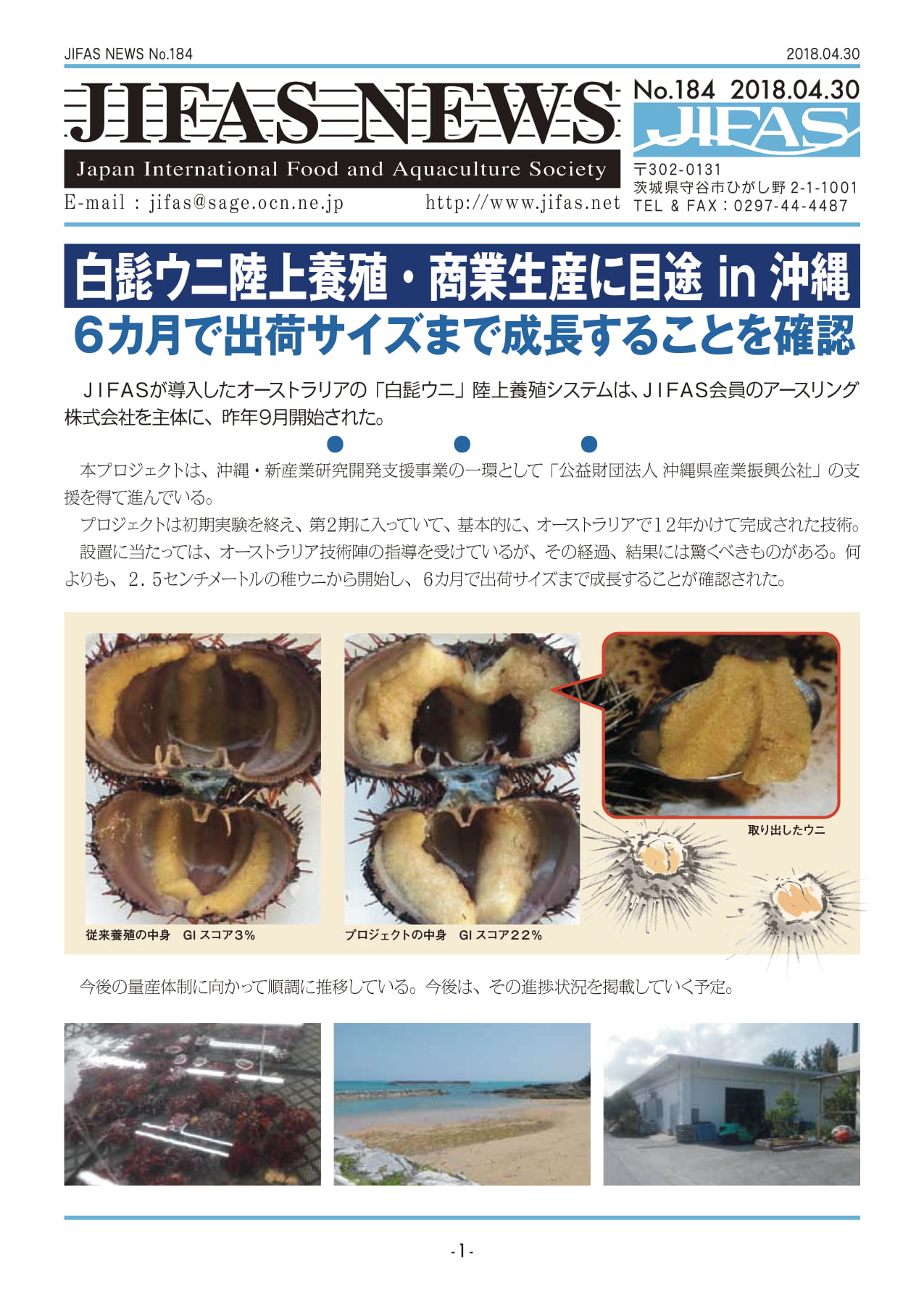 JIFASNEWS第184号表紙
