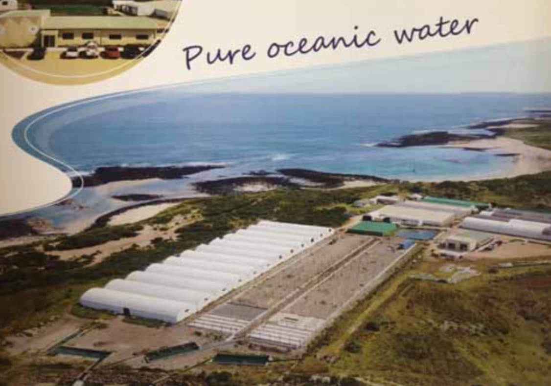 Southern Ocean Mariculture