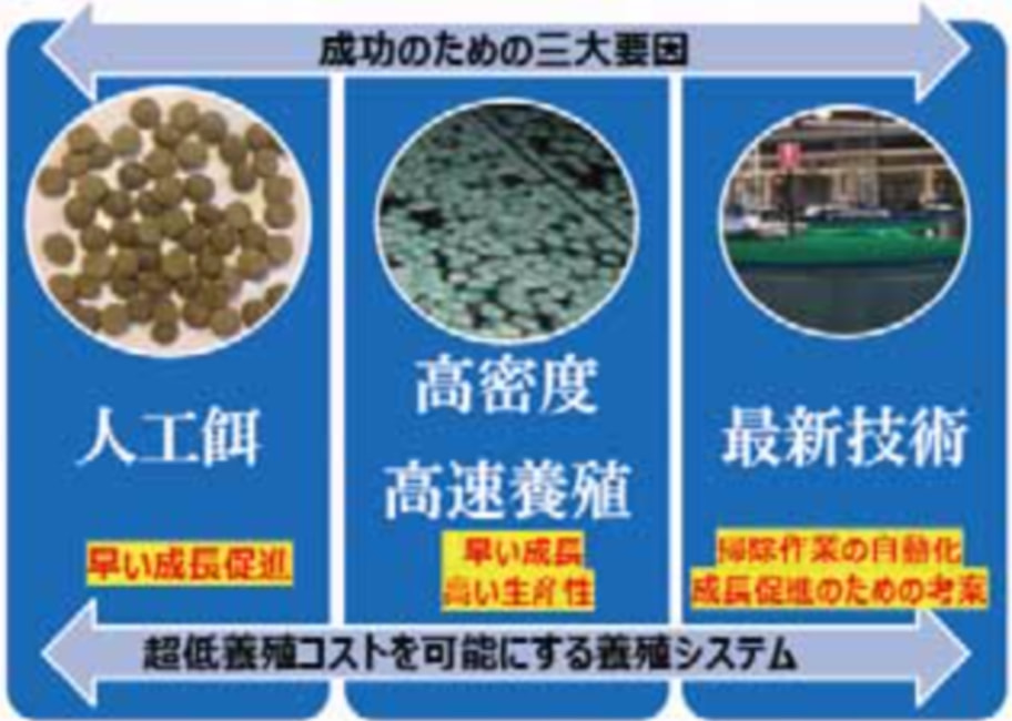 アワビ陸上養殖のポイント