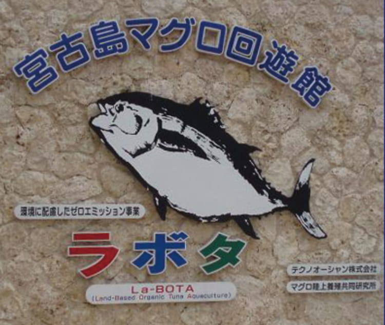 宮古島マグロ海遊館ラボタ