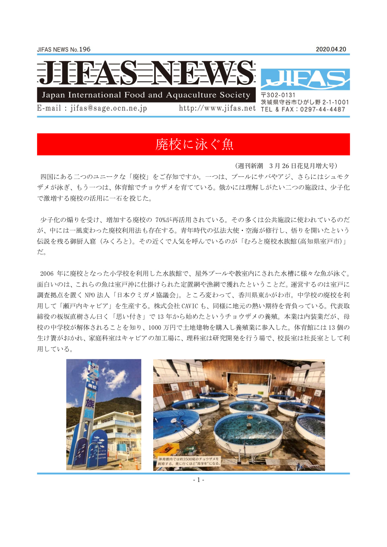 JIFASNEWS第196号表紙