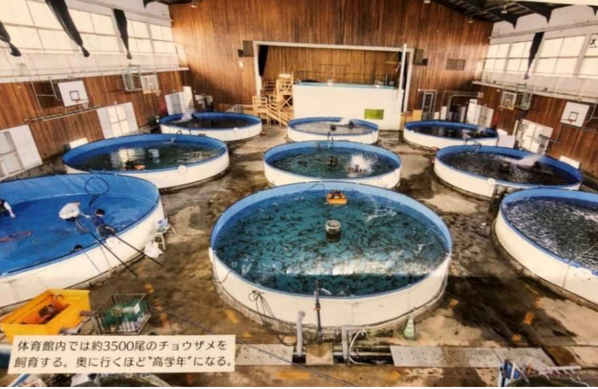 むろと廃校水族館