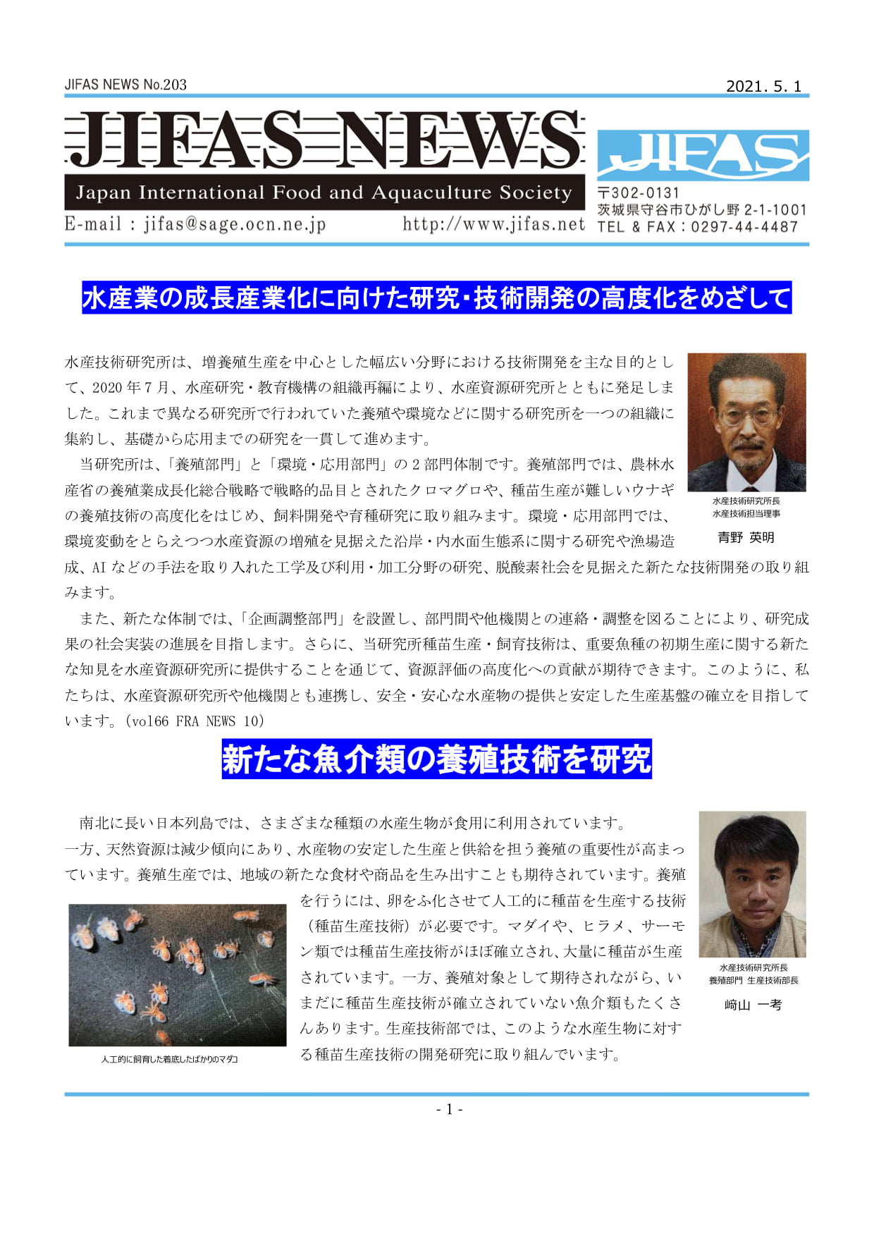 JIFASNEWS第203号表紙