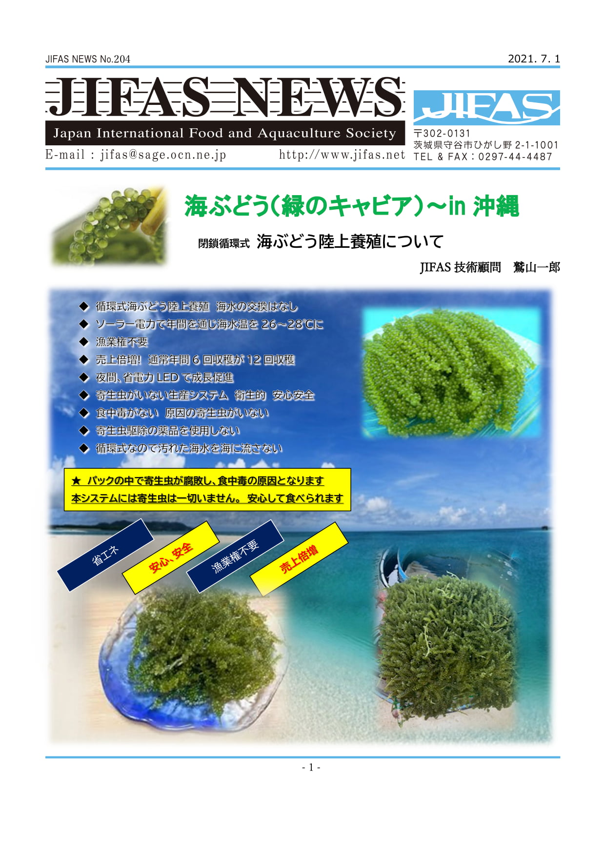JIFASNEWS第204号表紙