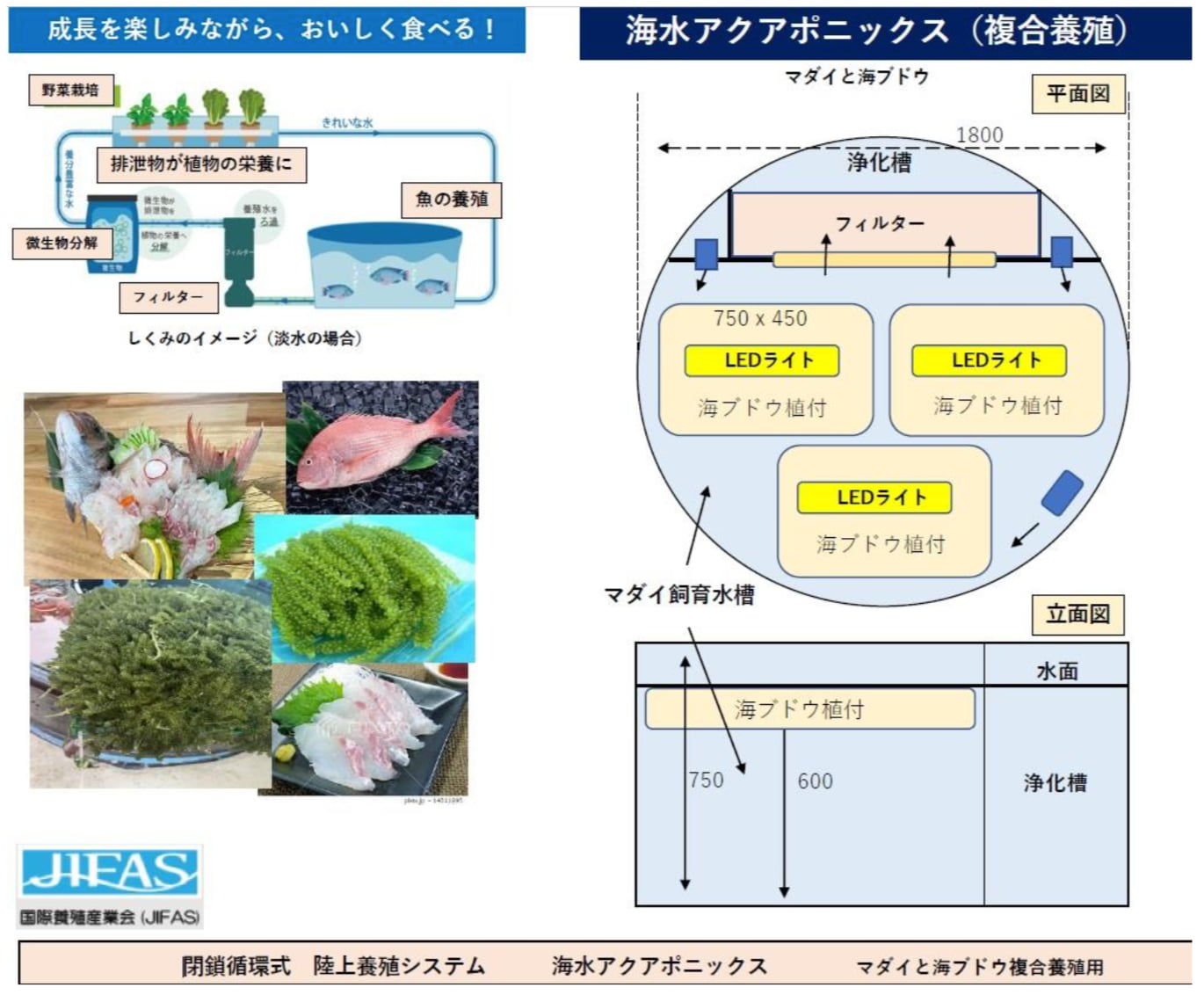 システム概要
