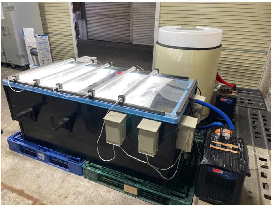 小規模完成システム