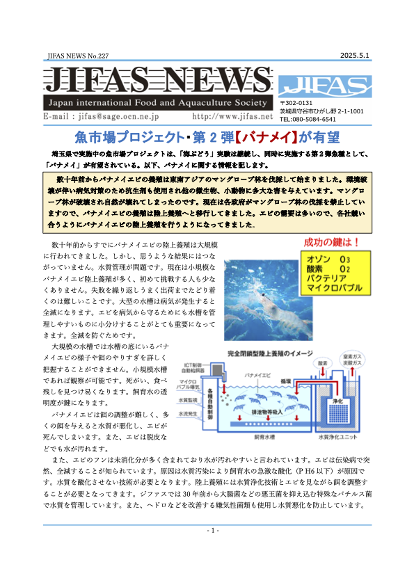JIFASNEWS第227号表紙